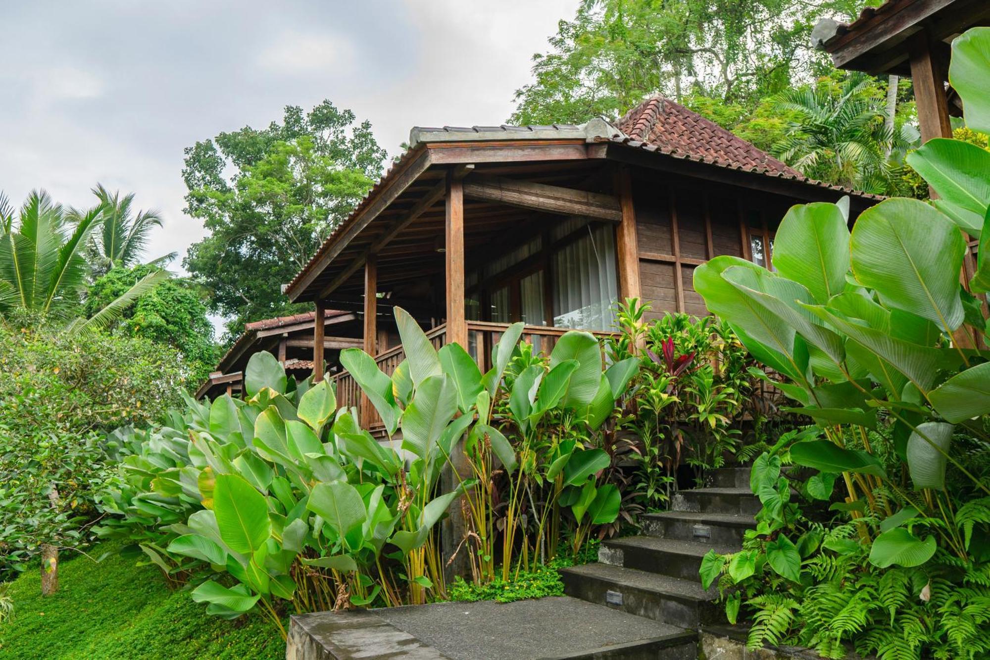 Pertiwi Bisma 1 Hotel Ubud Buitenkant foto