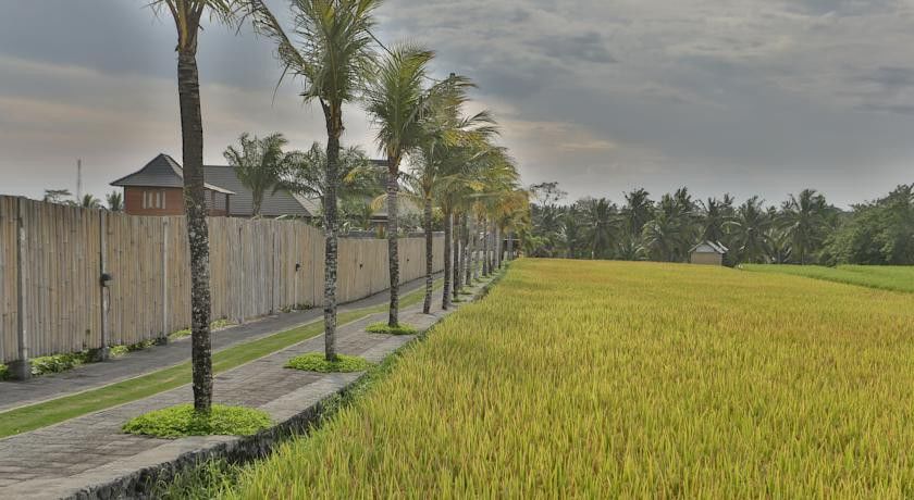 Pertiwi Bisma 1 Hotel Ubud Buitenkant foto